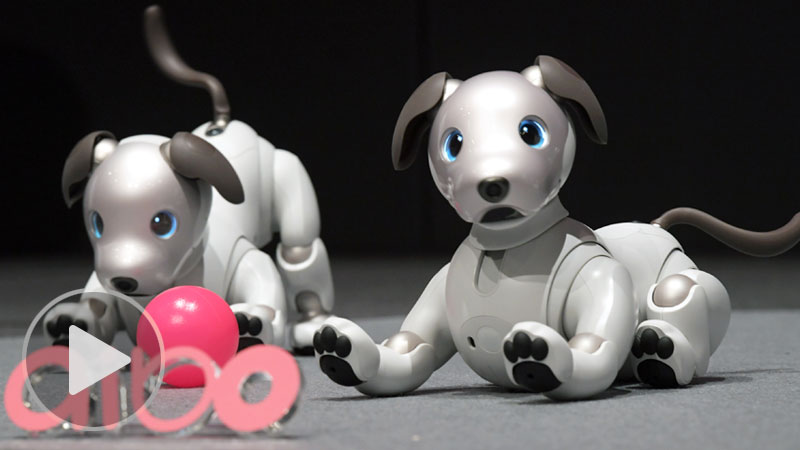 その他 SONY AIBO 20171101video_aibo.jpg
